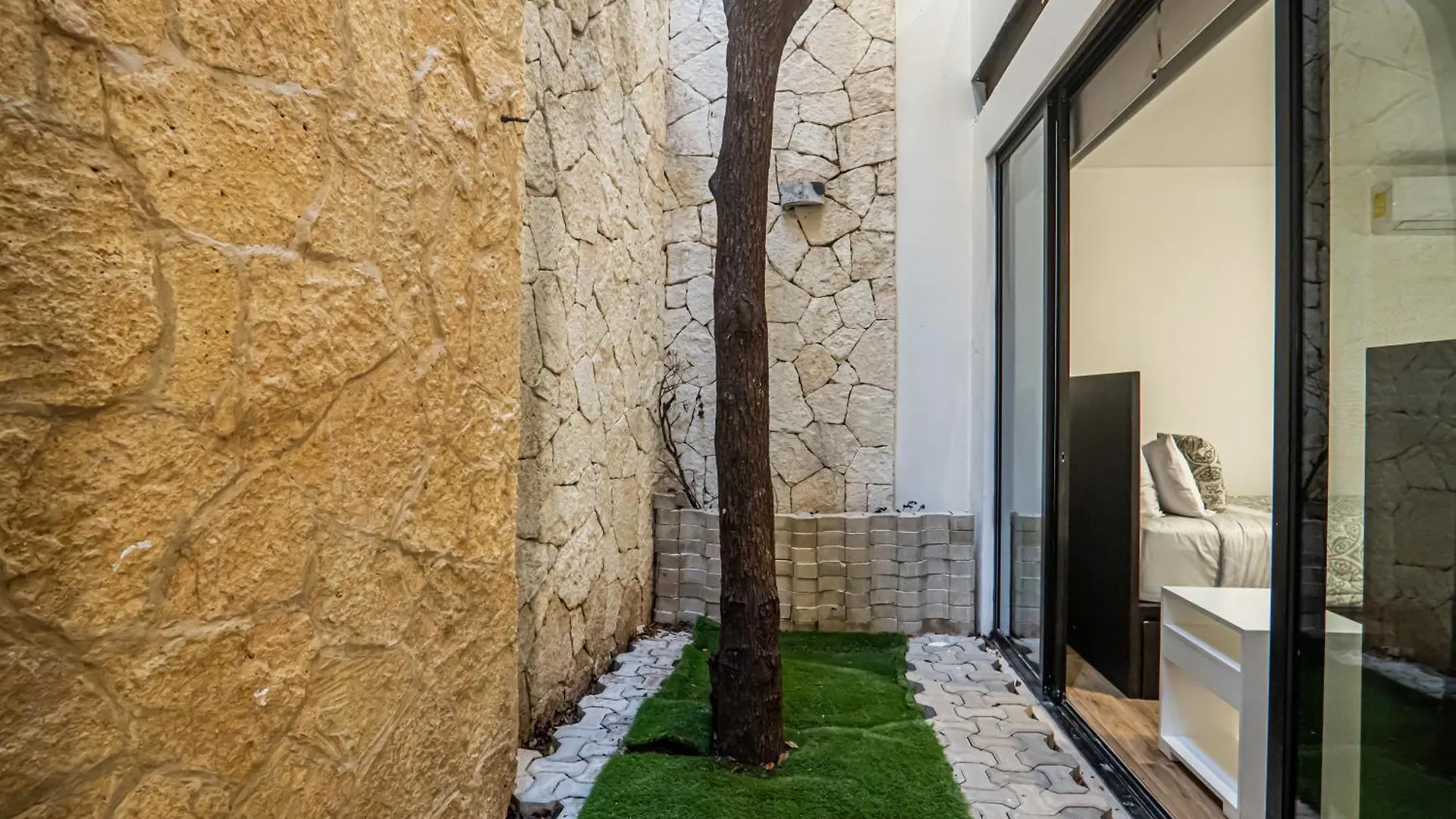 Two-Condos House In Great Location With Rooftop And Pool And Bbq Tulum